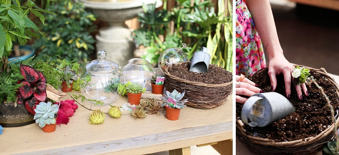 How fun is this DIY terrarium project at this garden bridal shower?! Such a great favor idea!