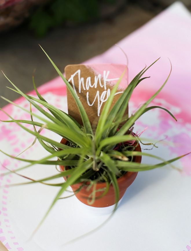 We love these thank you air plants at this fun bridal shower!