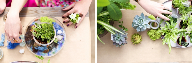 How fun is this DIY terrarium project at this garden bridal shower?! Such a great favor idea!