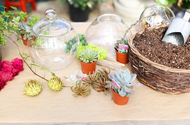 How fun is this DIY terrarium project at this garden bridal shower?! Such a great favor idea!