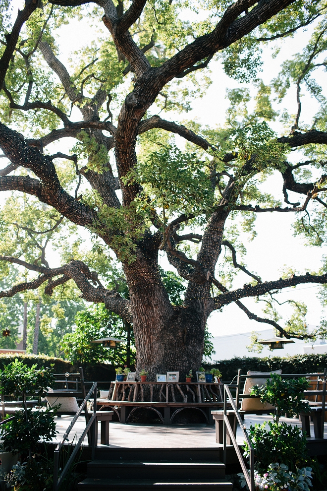 Dying over this gorgeous garden wedding reception!