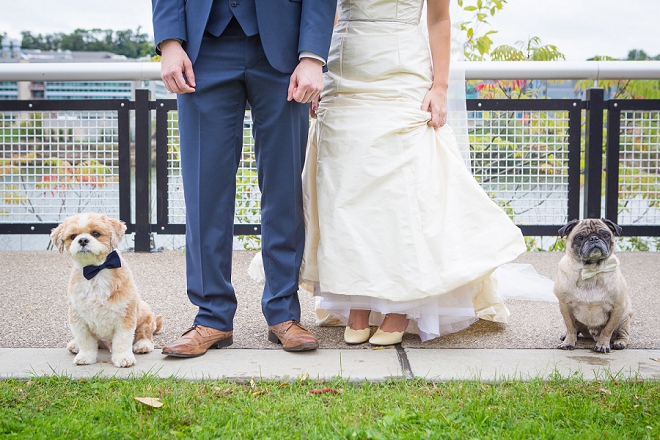 How darling is this Mr. and Mrs. and their pups?! Loving it!