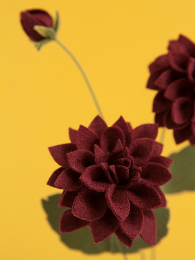 How to make the most gorgeous felt dahlia flowers!