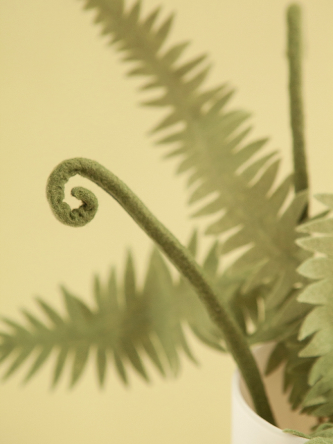 How to make the most awesome felt fern leaves and fiddleheads!