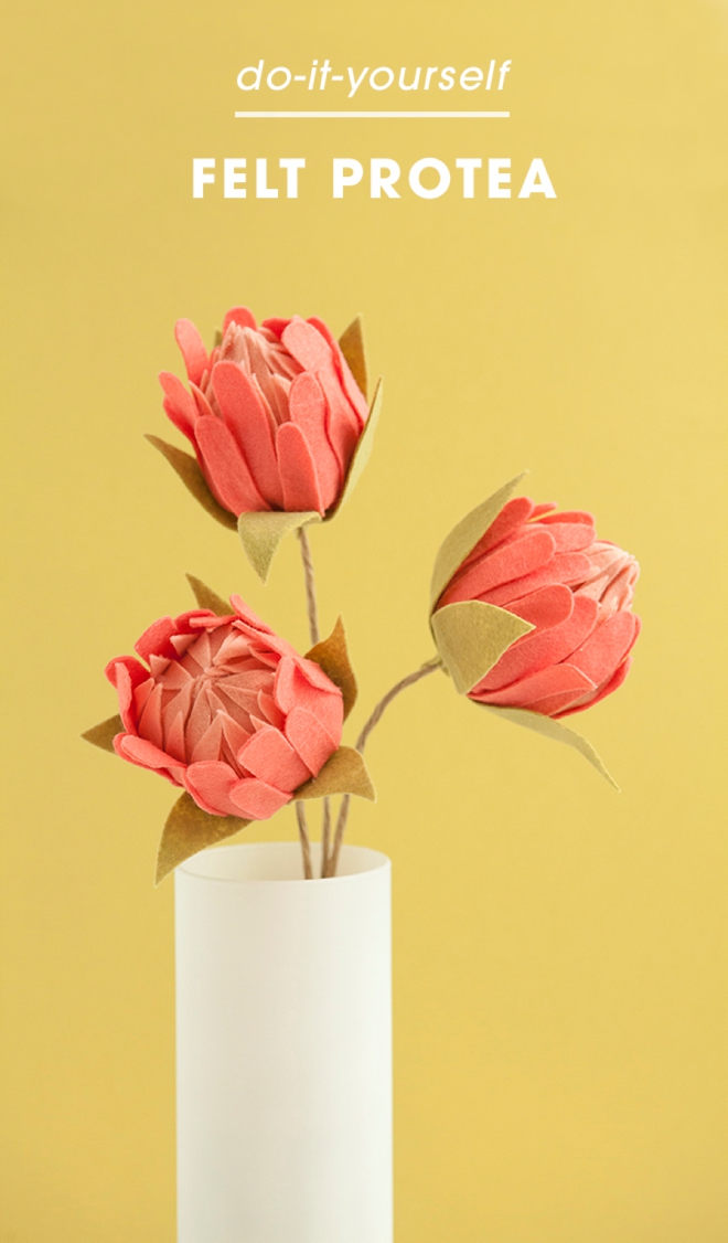 How to make the most gorgeous felt protea flowers!