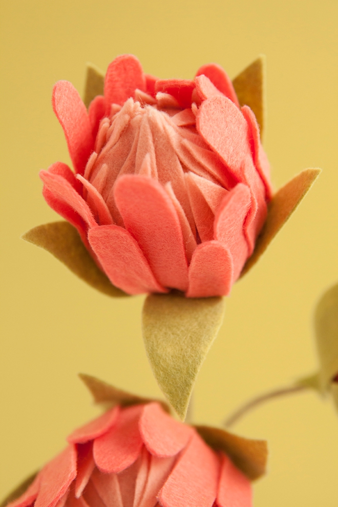 How to make the most gorgeous felt protea flowers!
