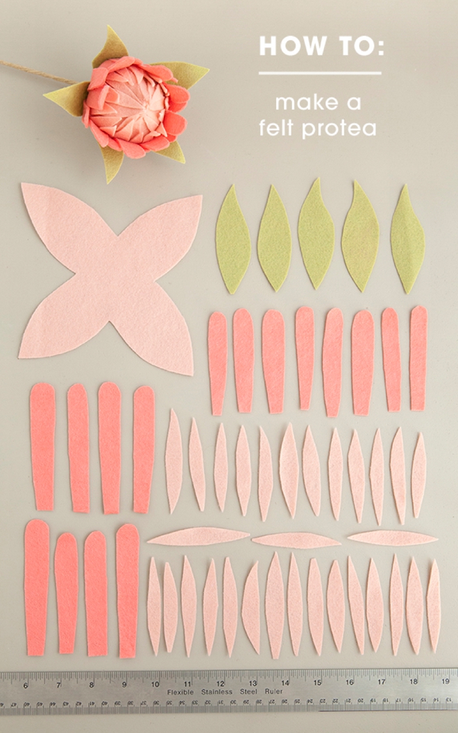 All the petals you'll need to make the most gorgeous felt protea flowers!