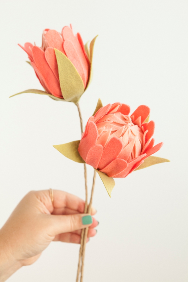 How to make the most gorgeous felt protea flowers!
