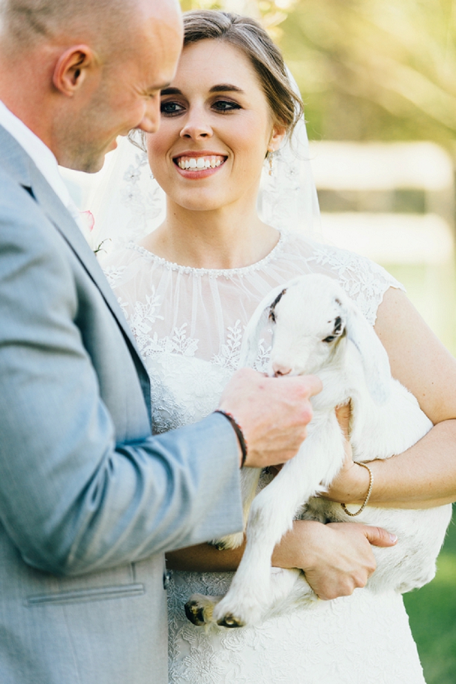 How cute is this tiny goat and the darling couple at their rustic Chattanooga wedding?! LOVE!