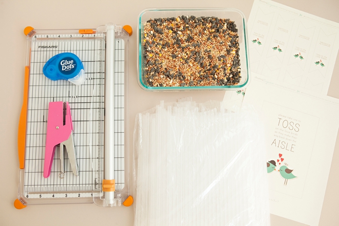 This is the most darling idea for a bird seed toss at your wedding ceremony, with free printables!