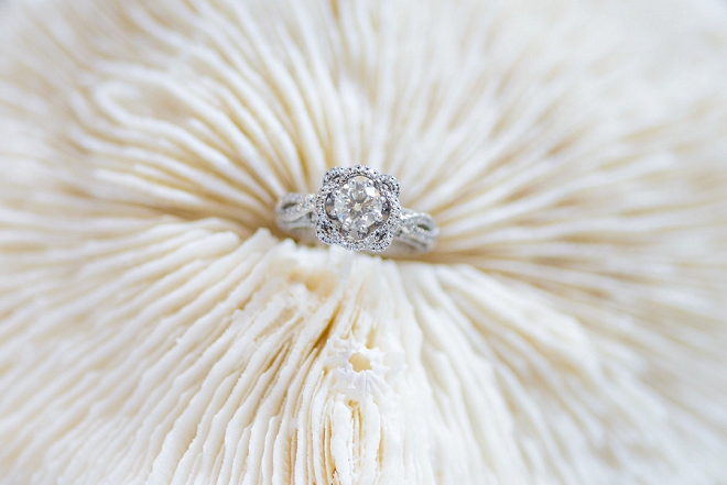 We LOVE this stunning ring shot!!