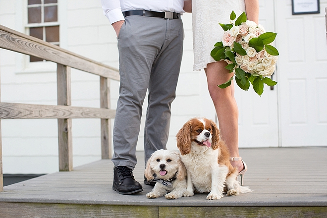 We love this darling engagement session with bouquets, pups and love!