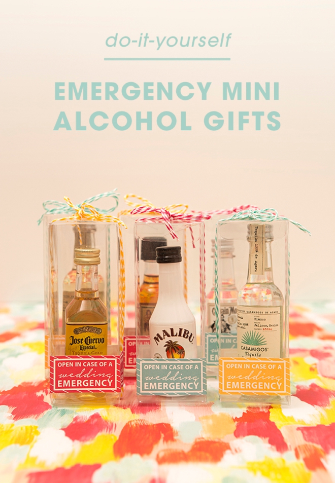 Adorable DIY In Case of Emergency Mini-Alcohol Gifts!