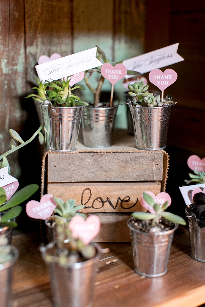 We love these DIY plant favors at this couple's darling day!