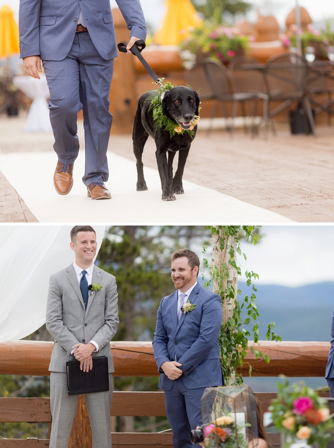 How cute is this couple's ring bearer pup with green collar garland?! Love it!