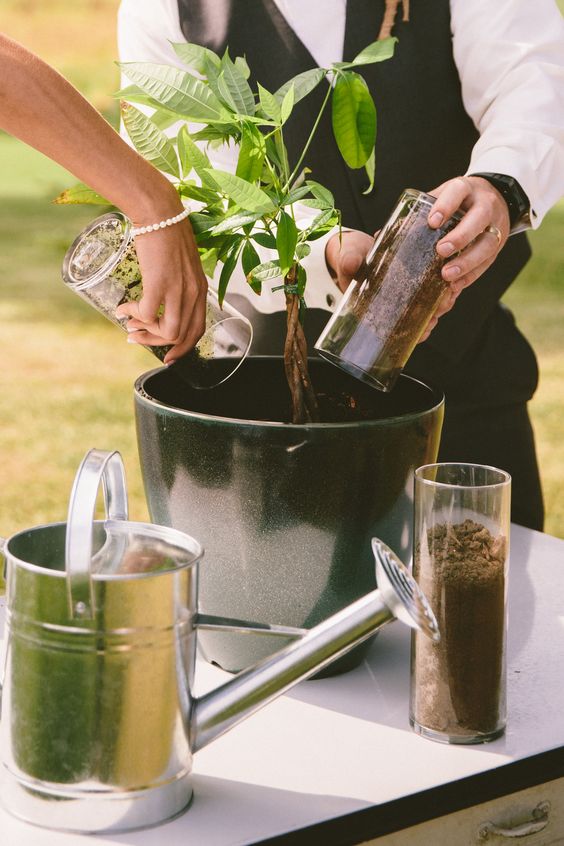 Unity tree planting ceremony at a wedding.