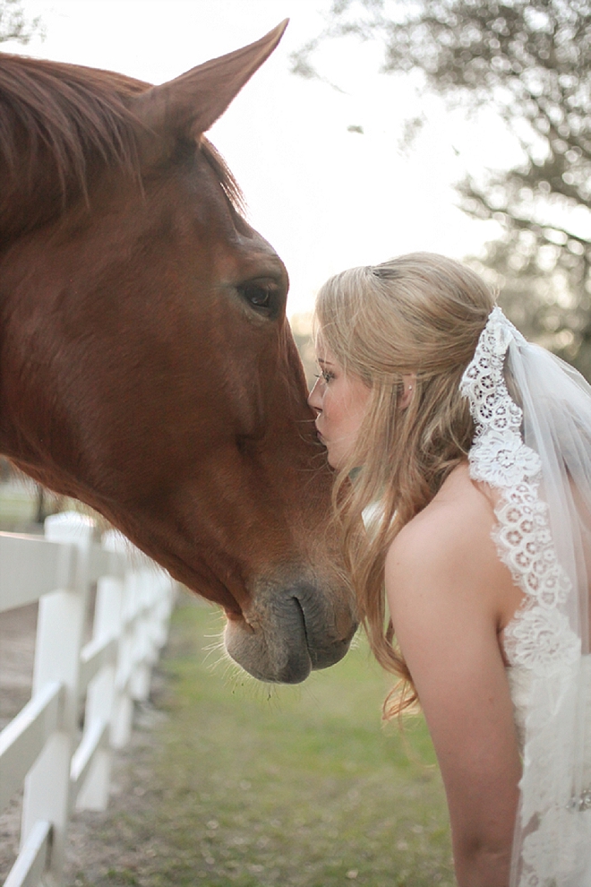 We love weddings with horses! Check out this darling Mr. and Mrs. and their stunning rustic wedding!