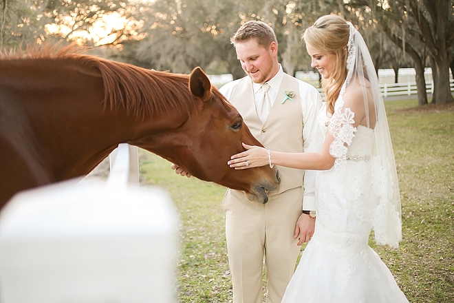 We love weddings with horses! Check out this darling Mr. and Mrs. and their stunning rustic wedding!