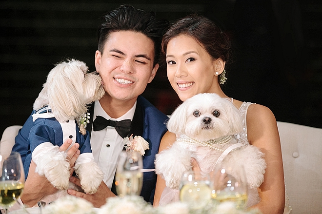 How cute is this snap of the Mr. and Mrs. with their fur babies?! LOVE!