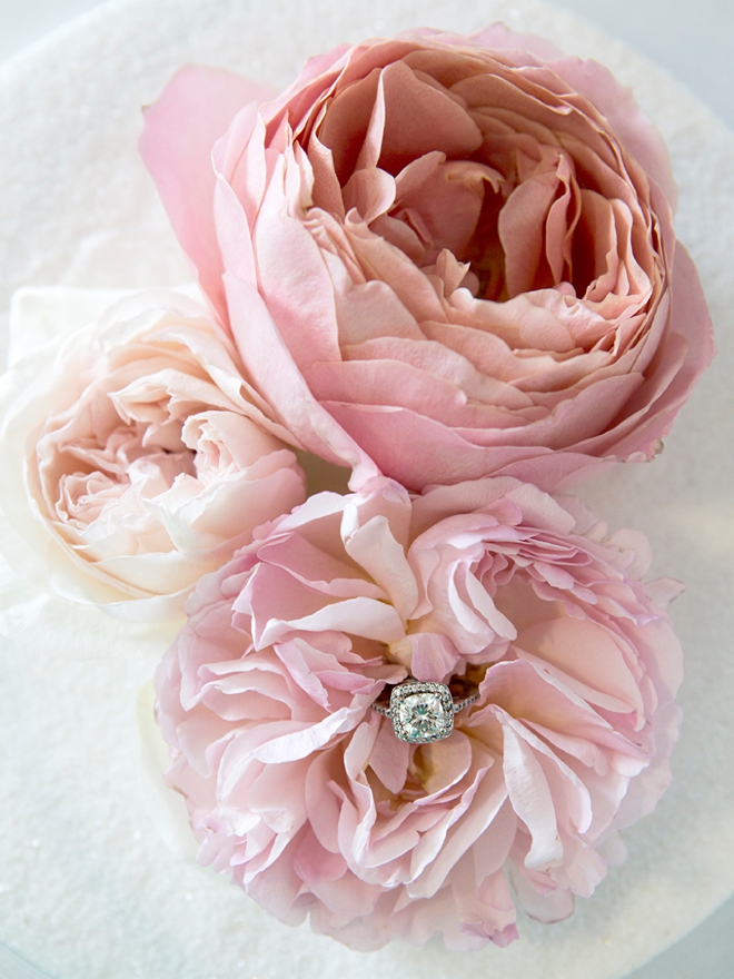 Gorgeous wedding ring shot in the middle of a stunning garden rose!