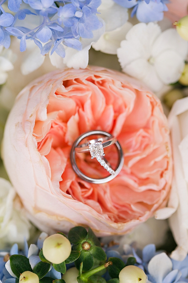 Check out this stunning garden rose ring shot! LOVE!