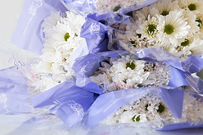 Everything you'll need to know about using daisies in your wedding!