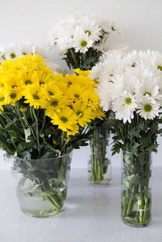 Everything you'll need to know about using daisies in your wedding!