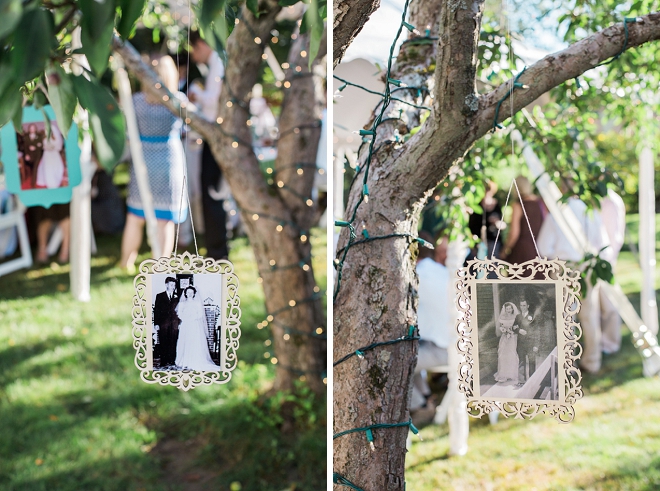 We love this family tree full of family wedding photos!
