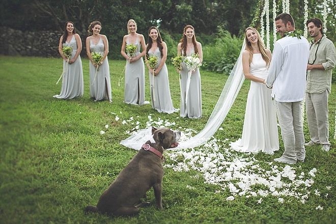 We're swooning over this stunning outdoor ceremony in Maui with pup!