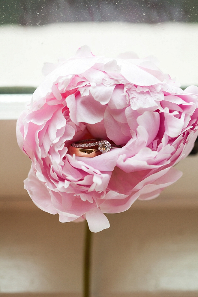 Check out this gorgeous ring shot in a garden rose - SWOON!