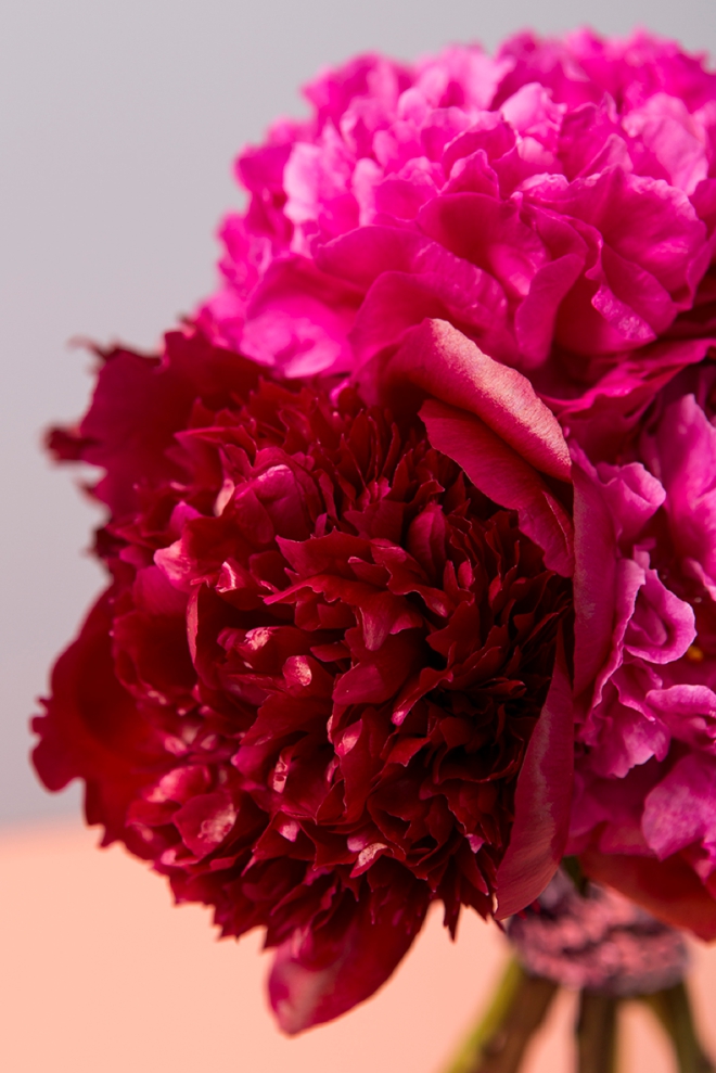 Everything you need to know about working with Peonies for your wedding or special event!