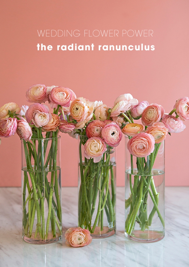 Everything you need to know about working with ranunculus for your wedding or special event!