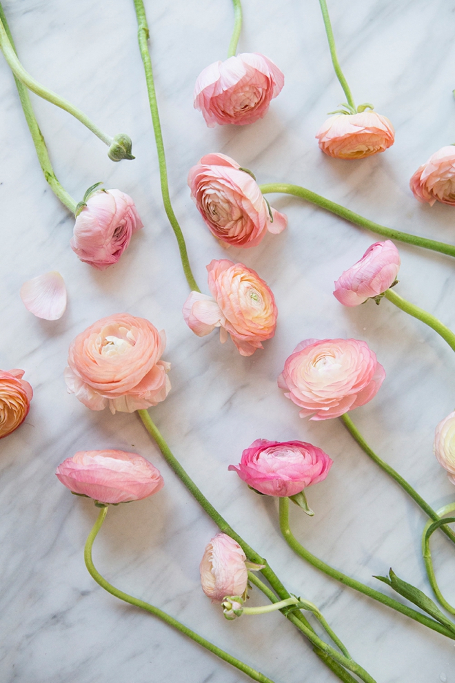 Everything you need to know about working with ranunculus for your wedding or special event!
