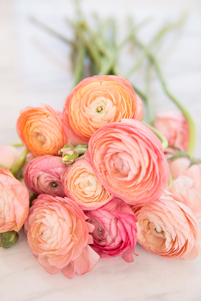 Peach Ranunculus Bouquet