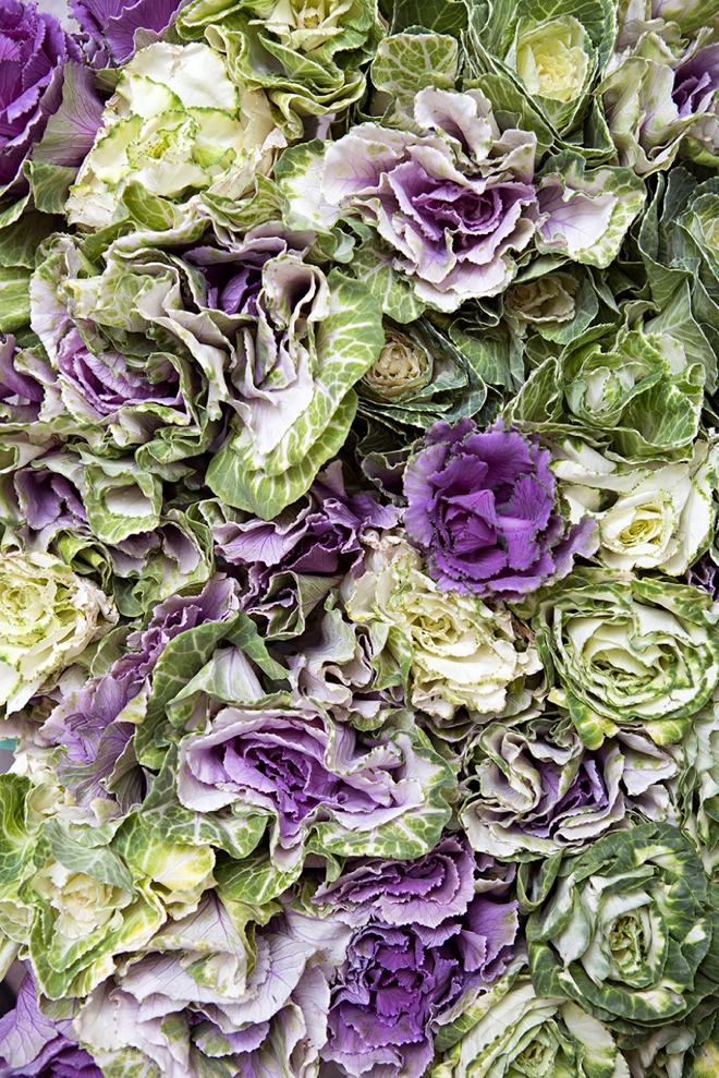 Fresh, farm kale is a wonderful addition to any natural themed wedding!