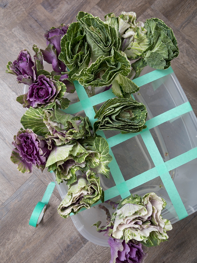 Fresh, farm kale is a wonderful addition to any natural themed wedding!