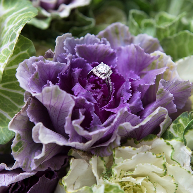 Fresh, farm kale is a wonderful addition to any natural themed wedding!
