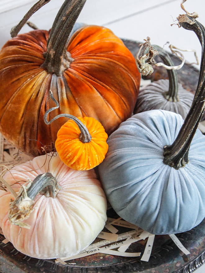 Velvet pumpkins by The Velvet Window