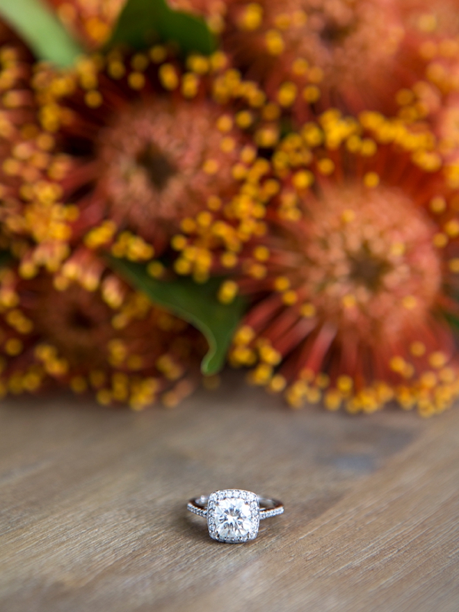 Gorgeous wedding ring shot in front of pin cushion protea flowers!