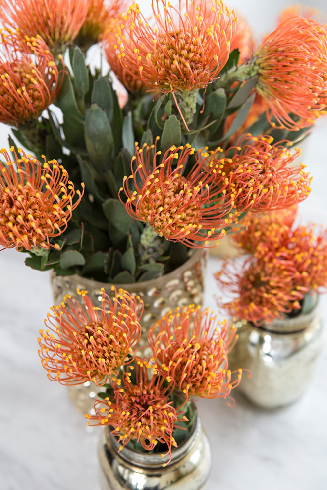 We're crushing over pin cushion protea for weddings!