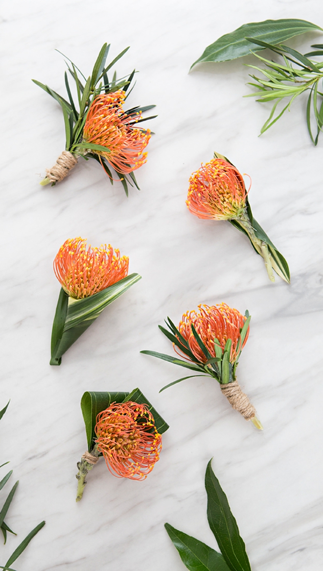 Check out these awesome pin cushion protea boutonnieres! 