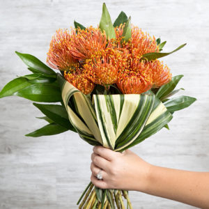 Everything you need to know about using pin cushion protea in your wedding!