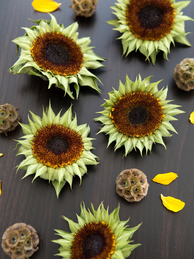 What you need to know beforehand about using sunflowers in your wedding!