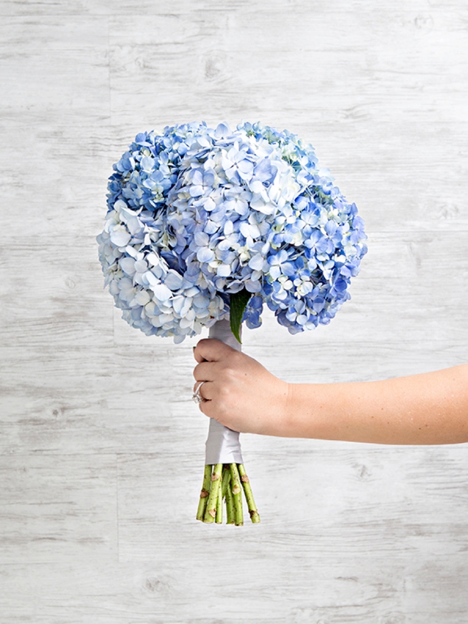 Everything you need to know about using Hydrangea flowers in your wedding!