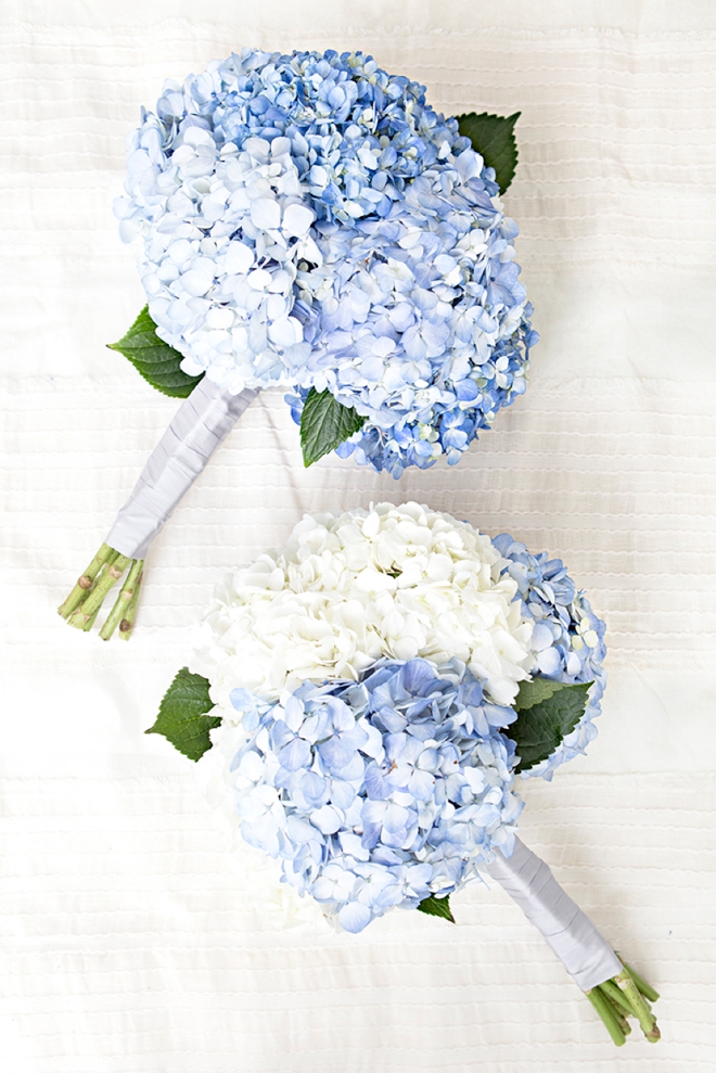 Everything you need to know about using Hydrangea flowers in your wedding!