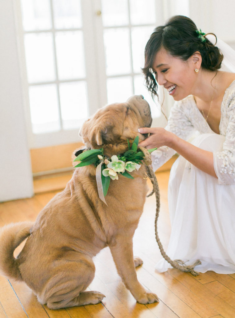 Look at this bride and her shar-pei! I want to have my dog at my wedding.