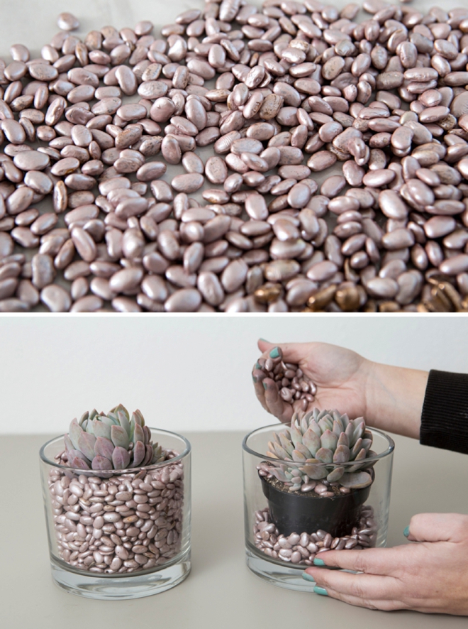 spray paint beans for cheap and colorful vase filler!