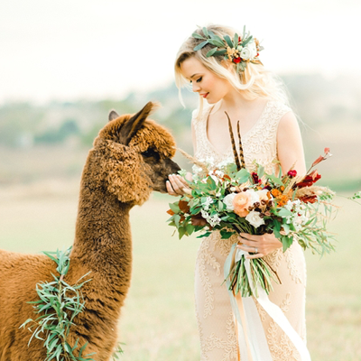LOVING this stunning and whimsical styled shoot featuring this adorable Alpaca!