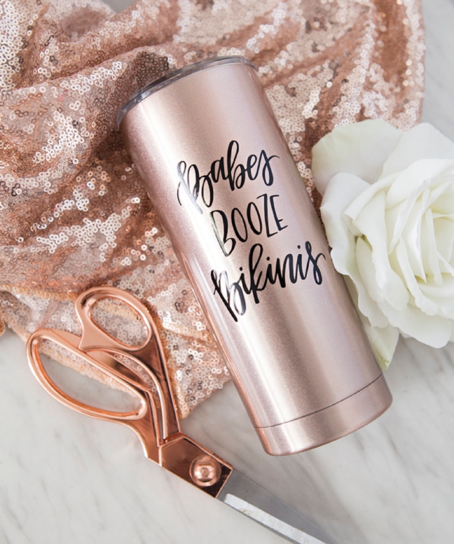 Babes, Booze, Bikinis tumbler by Something Turquoise