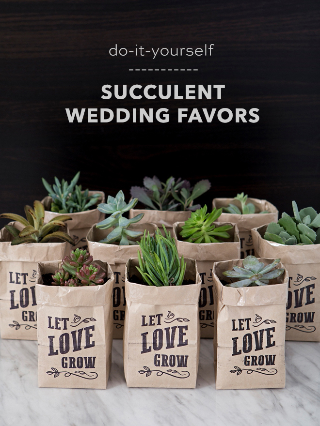 These printable Let Love Grow succulent wedding favors are the cutest!